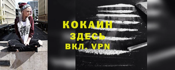 сатива Пересвет