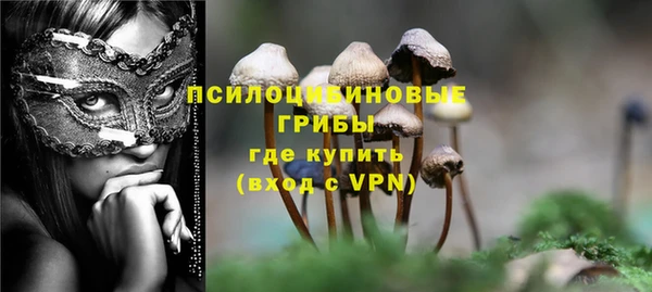 сатива Абинск