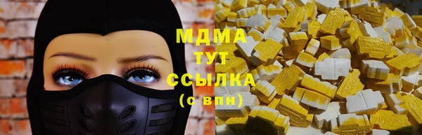 индика Пестово