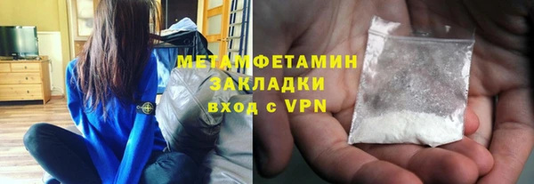 сатива Пересвет