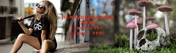 ешки Абаза