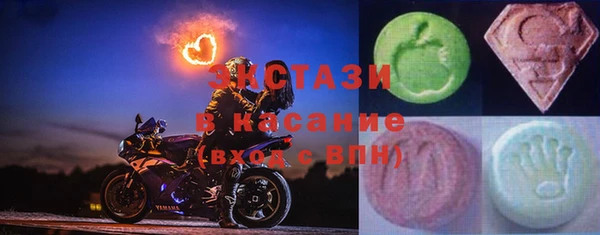 индика Пестово