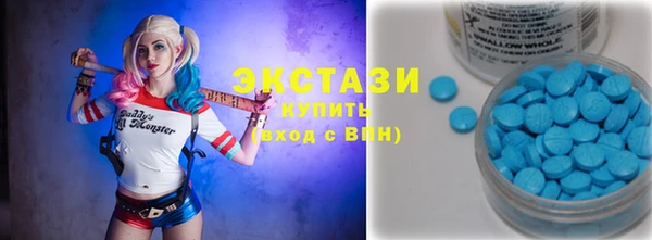 индика Пестово