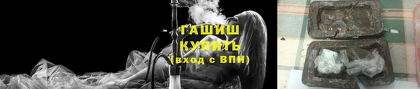 сатива Пересвет