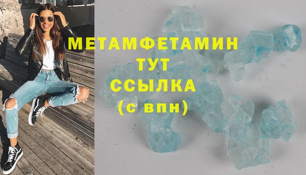 индика Пестово