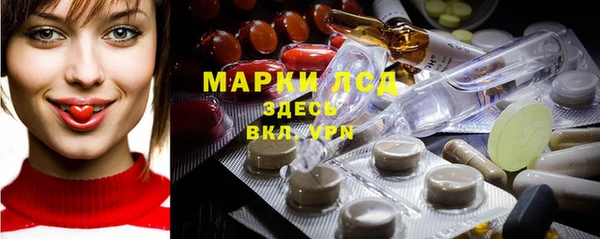 индика Пестово