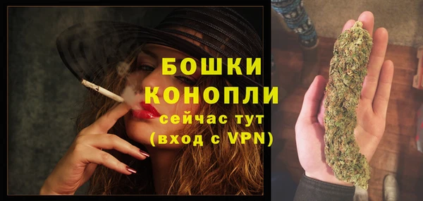 сатива Пересвет