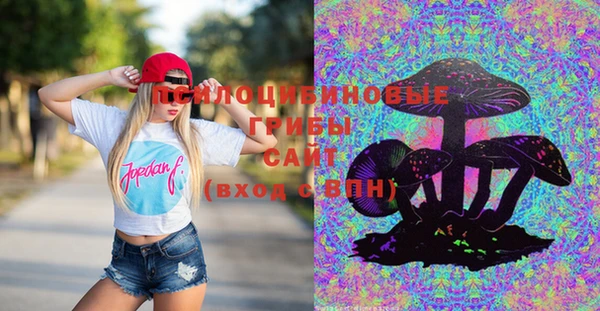ешки Абаза